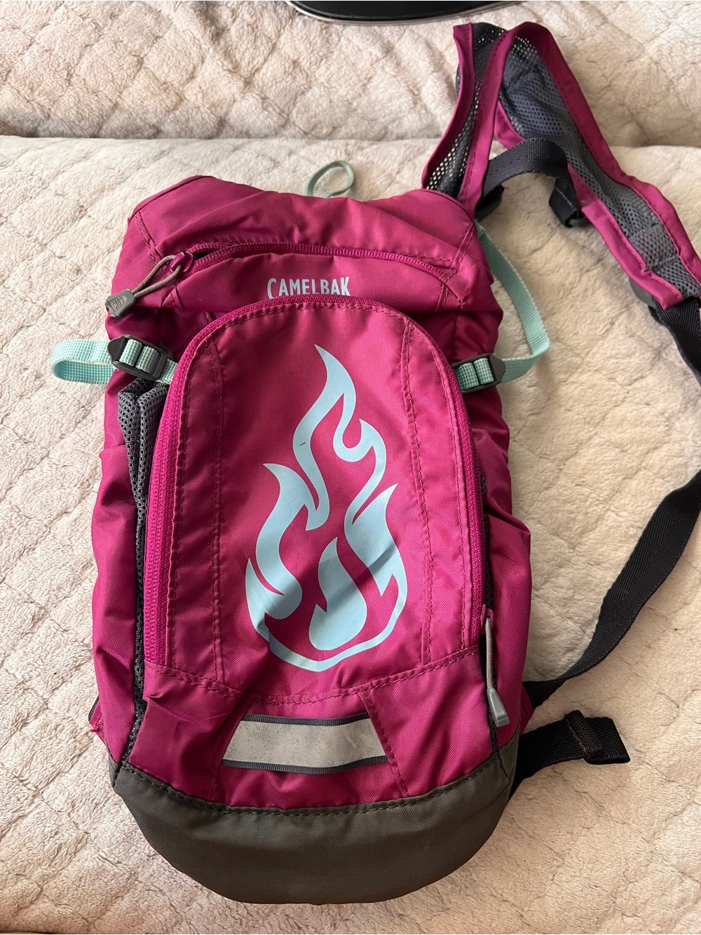 CAMELBAK Mini MULE Kid's Hiking Hydration *Backpack ONLY* stained